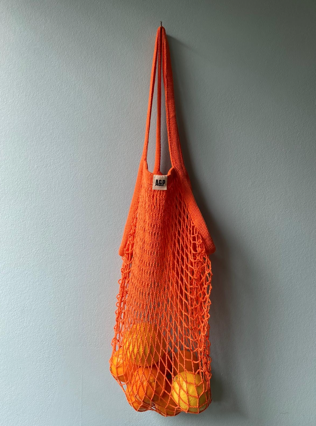Orange net bag with oranges